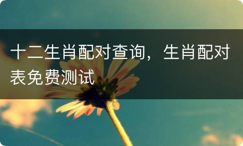 十二生肖配对查询，生肖配对表免费测试