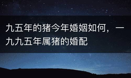 九五年的猪今年婚姻如何，一九九五年属猪的婚配
