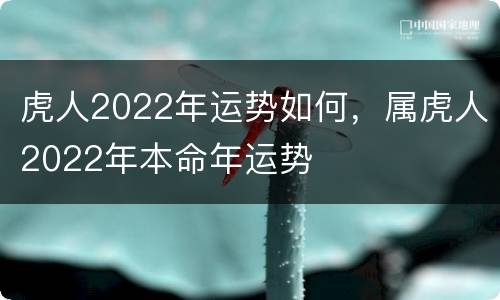 虎人2022年运势如何，属虎人2022年本命年运势