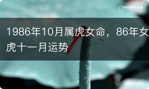 1986年10月属虎女命，86年女虎十一月运势