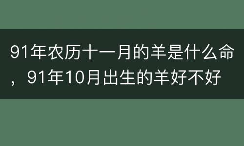 91年农历十一月的羊是什么命，91年10月出生的羊好不好