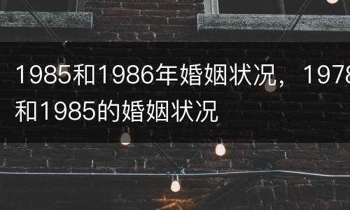 1985和1986年婚姻状况，1978和1985的婚姻状况