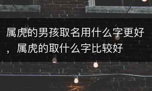属虎的男孩取名用什么字更好，属虎的取什么字比较好