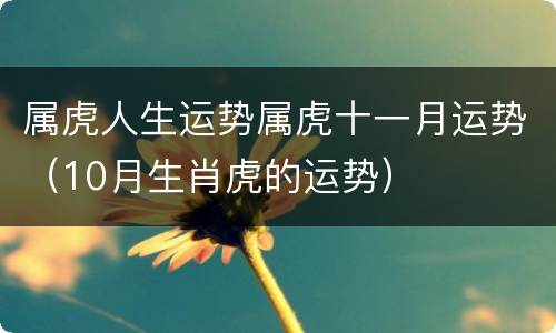 属虎人生运势属虎十一月运势（10月生肖虎的运势）