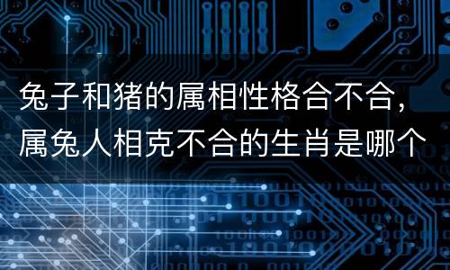 兔子和猪的属相性格合不合，属兔人相克不合的生肖是哪个？