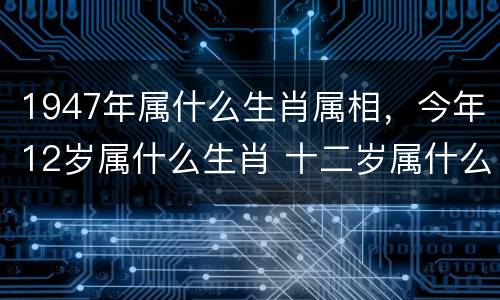 1947年属什么生肖属相，今年12岁属什么生肖 十二岁属什么