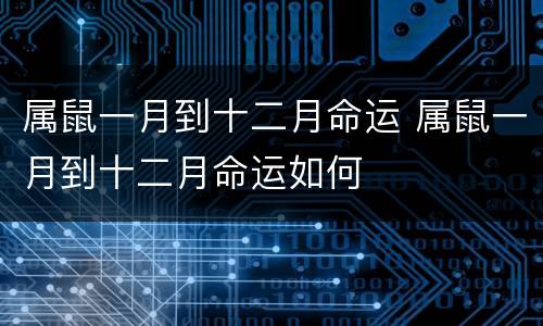 属鼠一月到十二月命运 属鼠一月到十二月命运如何