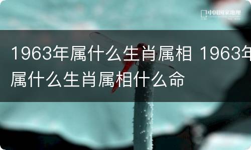 1963年属什么生肖属相 1963年属什么生肖属相什么命
