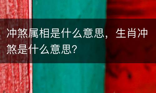 冲煞属相是什么意思，生肖冲煞是什么意思？