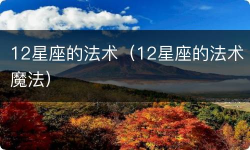 12星座的法术（12星座的法术魔法）