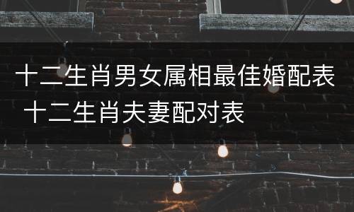 十二生肖男女属相最佳婚配表 十二生肖夫妻配对表