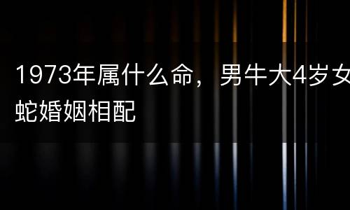 1973年属什么命，男牛大4岁女蛇婚姻相配