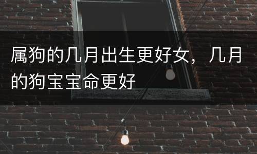 属狗的几月出生更好女，几月的狗宝宝命更好