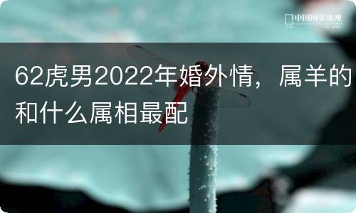 62虎男2022年婚外情，属羊的和什么属相最配