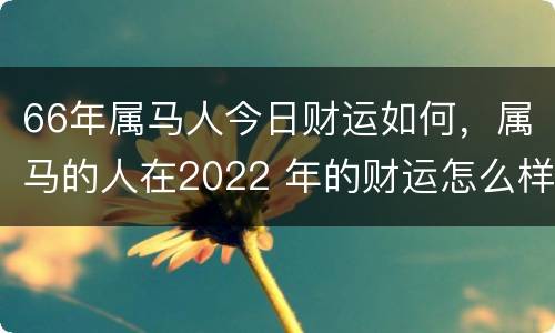 66年属马人今日财运如何，属马的人在2022 年的财运怎么样