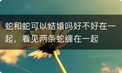 蛇和蛇可以结婚吗好不好在一起，看见两条蛇缠在一起
