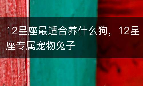 12星座最适合养什么狗，12星座专属宠物兔子