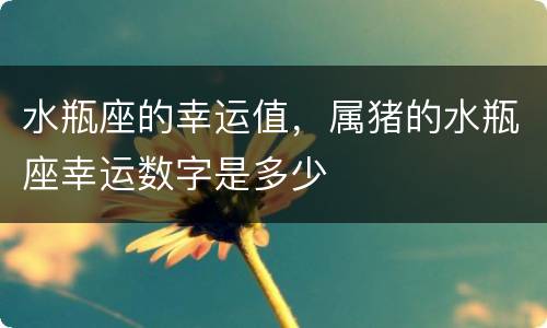 水瓶座的幸运值，属猪的水瓶座幸运数字是多少