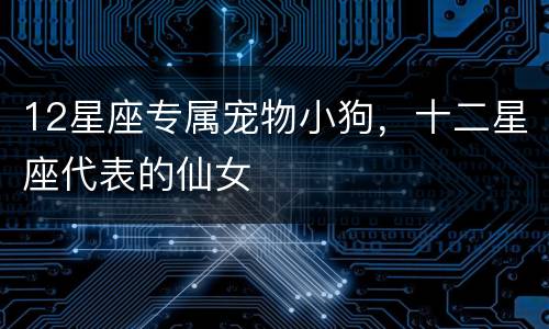 12星座专属宠物小狗，十二星座代表的仙女