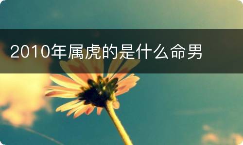 2010年属虎的是什么命男