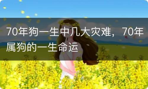 70年狗一生中几大灾难，70年属狗的一生命运