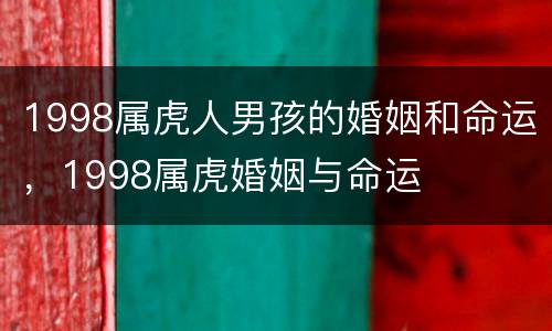 1998属虎人男孩的婚姻和命运，1998属虎婚姻与命运