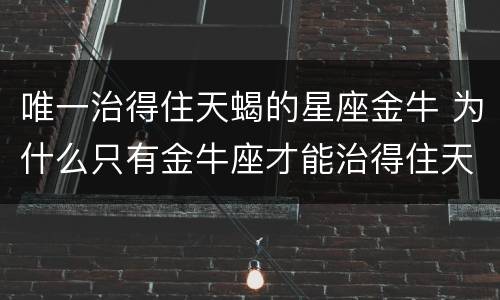 唯一治得住天蝎的星座金牛 为什么只有金牛座才能治得住天蝎座