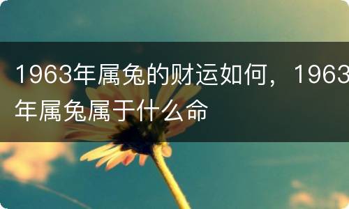 1963年属兔的财运如何，1963年属兔属于什么命