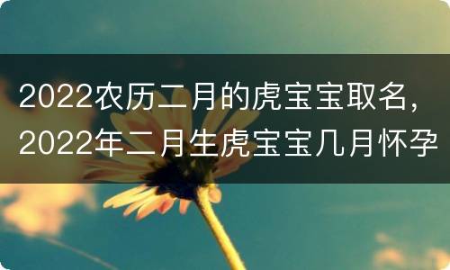 2022农历二月的虎宝宝取名，2022年二月生虎宝宝几月怀孕
