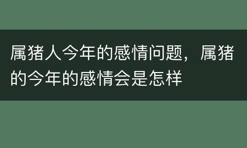 属猪人今年的感情问题，属猪的今年的感情会是怎样