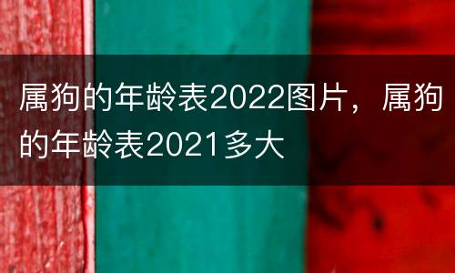 属狗的年龄表2022图片，属狗的年龄表2021多大