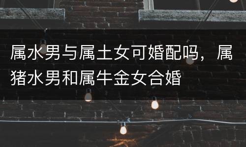 属水男与属土女可婚配吗，属猪水男和属牛金女合婚