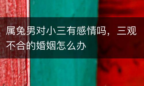 属兔男对小三有感情吗，三观不合的婚姻怎么办