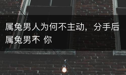 属兔男人为何不主动，分手后属兔男不 你