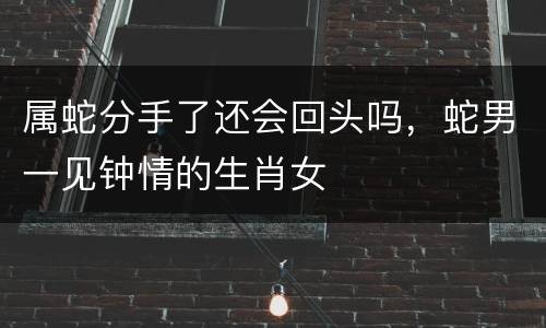 属蛇分手了还会回头吗，蛇男一见钟情的生肖女