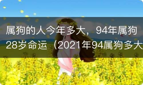 属狗的人今年多大，94年属狗28岁命运（2021年94属狗多大）