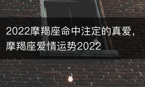 2022摩羯座命中注定的真爱，摩羯座爱情运势2022
