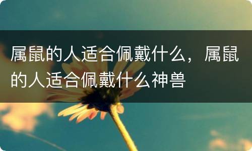 属鼠的人适合佩戴什么，属鼠的人适合佩戴什么神兽