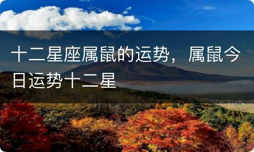 十二星座属鼠的运势，属鼠今日运势十二星