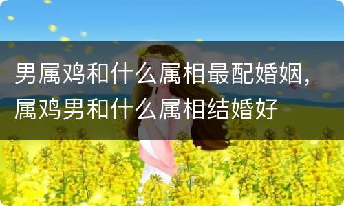 男属鸡和什么属相最配婚姻，属鸡男和什么属相结婚好