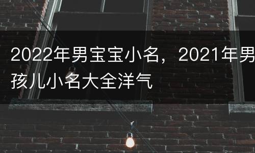 2022年男宝宝小名，2021年男孩儿小名大全洋气