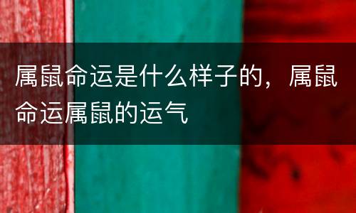 属鼠命运是什么样子的，属鼠命运属鼠的运气