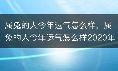 属兔的人今年运气怎么样，属兔的人今年运气怎么样2020年
