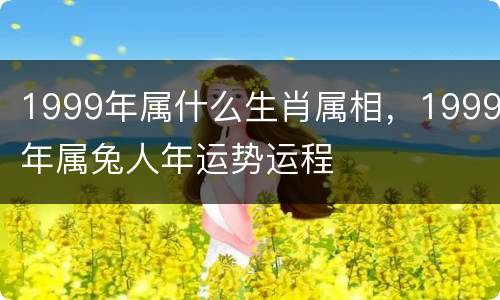1999年属什么生肖属相，1999年属兔人年运势运程