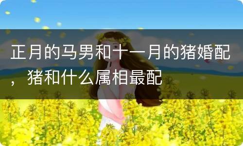 正月的马男和十一月的猪婚配，猪和什么属相最配