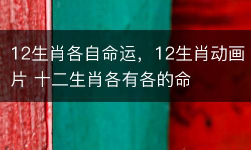 12生肖各自命运，12生肖动画片 十二生肖各有各的命