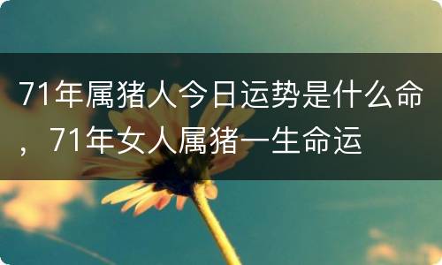 71年属猪人今日运势是什么命，71年女人属猪一生命运