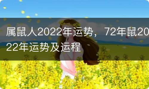 属鼠人2022年运势，72年鼠2022年运势及运程