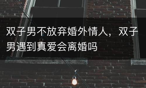 双子男不放弃婚外情人，双子男遇到真爱会离婚吗