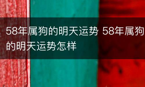 58年属狗的明天运势 58年属狗的明天运势怎样